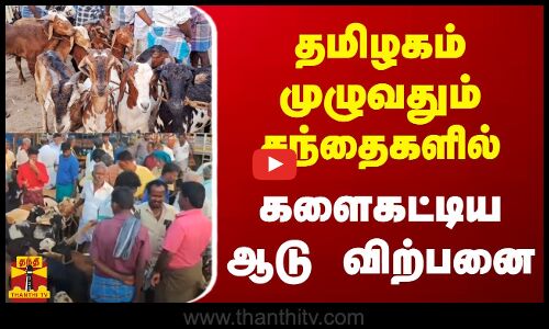 தமிழகம் முழுவதும் சந்தைகளில் களைகட்டிய ஆடு விற்பனை