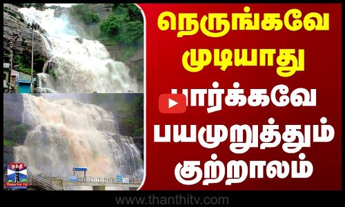 Tenkasi Courtallam Water Falls | Flood | நெருங்கவே முடியாது - பார்க்கவே பயமுறுத்தும் குற்றாலம்