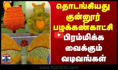 தொடங்கியது குன்னூர் பழக்கண்காட்சி