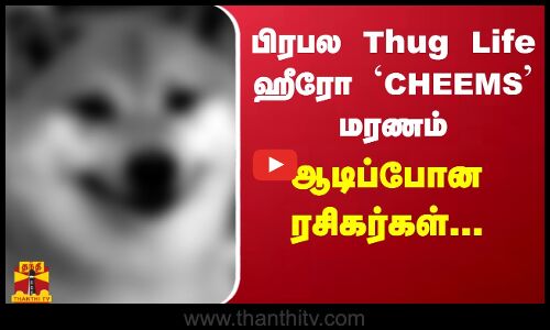 பிரபல Thug Life ஹீரோ `CHEEMS மரணம் - ஆடிப்போன ரசிகர்கள்...