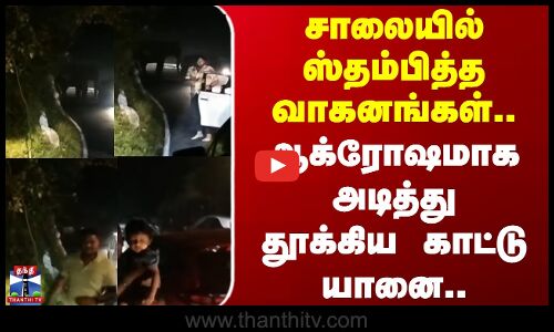 Elephant attack | Nilgiris | சாலையில் ஸ்தம்பித்த வாகனங்கள்.. ஆக்ரோஷமாக அடித்து தூக்கிய காட்டு யானை