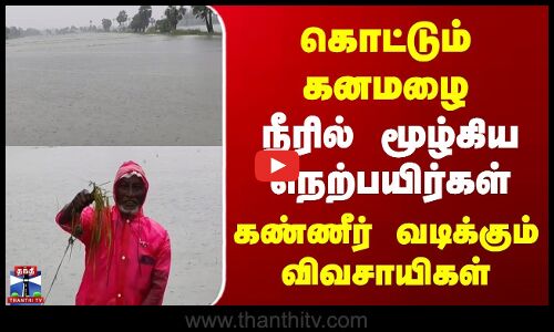 TN Rains | கொட்டும் கனமழை | நீரில் மூழ்கிய நெற்பயிர்கள் | கண்ணீர் வடிக்கும் விவசாயிகள்