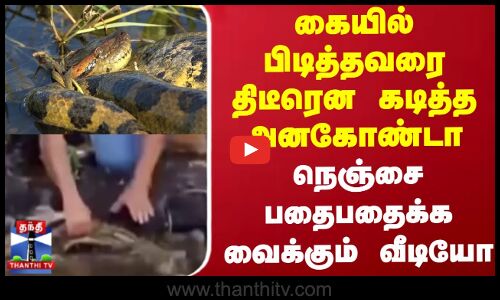 கையில் பிடித்தவரை திடீரென கடித்த அனகோண்டா - நெஞ்சை பதைபதைக்க வைக்கும் வீடியோ