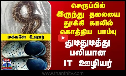 செருப்பில் இருந்து தலையை தூக்கி காலில் கொத்திய பாம்பு - துடிதுடித்து பலியான IT ஊழியர்