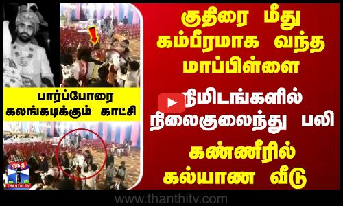 குதிரை மீது கம்பீரமாக வந்த மாப்பிள்ளை... நிமிடங்களில் நிலைகுலைந்து பலி... கலங்கடிக்கும் காட்சி