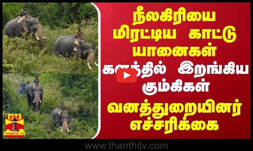 நீலகிரியை மிரட்டிய காட்டு யானைகள்... களத்தில் இறங்கிய கும்கிகள் - வனத்துறையினர் எச்சரிக்கை