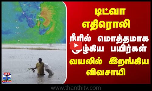 Cyclone Ditwah  |  TN Rains |  Thanjavur | டிட்வா எதிரொலி  வயலில் இறங்கிய விவசாயி