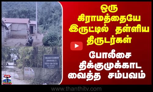 ஒரு கிராமத்தையே இருட்டில் தள்ளிய திருடர்கள்... போலீசை திக்குமுக்காட வைத்த சம்பவம்