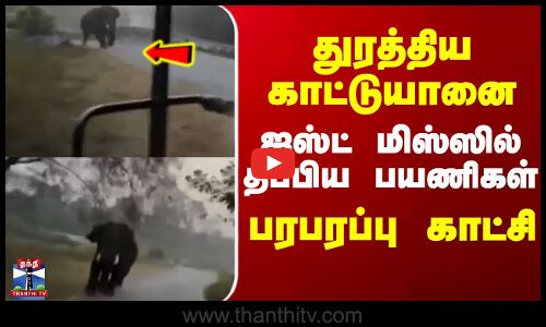 Karnataka | Elephant  | துரத்திய காட்டுயானை  ஜஸ்ட்மிஸ்ஸில் தப்பிய பயணிகள்  பரபரப்பு காட்சி