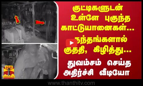 குட்டிகளுடன் உள்ளே புகுந்த காட்டுயானைகள்... தந்தங்களால்  குத்தி, கிழித்து... துவம்சம் செய்த வீடியோ