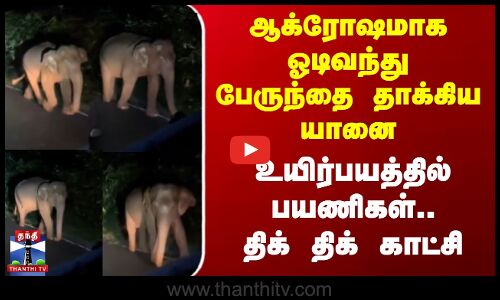 ஆக்ரோஷமாக ஓடிவந்து பேருந்தை தாக்கிய யானை - உயிர்பயத்தில் பயணிகள்.. திக் திக் காட்சி