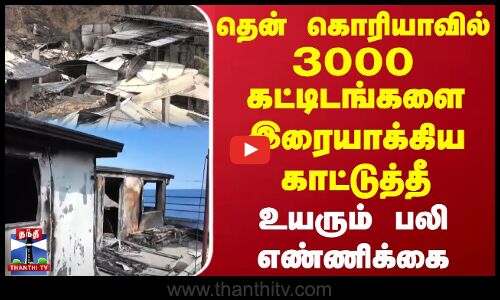 தென் கொரியாவில் 3000 கட்டிடங்களை இரையாக்கிய காட்டுத்தீ | உயரும் பலி எண்ணிக்கை