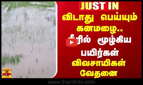 விடாது பெய்யும் கனமழை.. நீரில் மூழ்கிய பயிர்கள் - விவசாயிகள் வேதனை