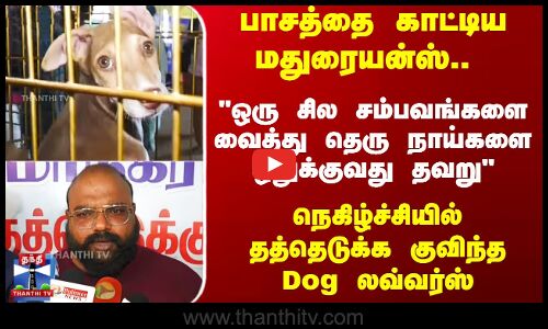 பாசத்தை காட்டிய மதுரையன்ஸ்..  நெகிழ்ச்சியில் தத்தெடுக்க குவிந்த Dog லவ்வர்ஸ்