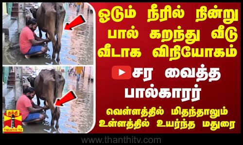 வெள்ளத்தில் நீரில் நின்று... பால் கறந்து வீடு வீடாக விநியோகம் - அசர வைத்த மதுரை பால்காரர்
