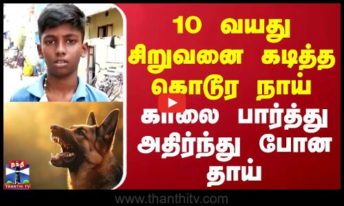 10 வயது சிறுவனை கடித்த கொடூர நாய்.. காலை பார்த்து அதிர்ந்து போன தாய்