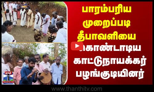 Diwali | Celebration |   பாரம்பரிய முறைப்படி தீபாவளியை கொண்டாடிய காட்டுநாயக்கர் பழங்குடியினர்