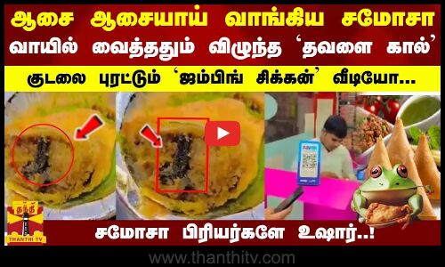 ஆசை ஆசையாய் வாங்கிய சமோசா... வாயில் வைத்ததும் விழுந்த `தவளை கால் - குடலை புரட்டும் வீடியோ...