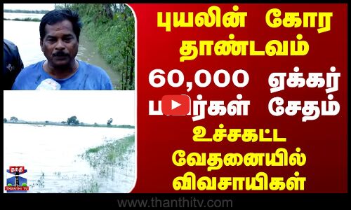 Ditwah cyclone |  புயலின் கோர தாண்டவம் 60,000 ஏக்கர் பயிர்கள் சேதம் உச்சகட்ட வேதனையில் விவசாயிகள்