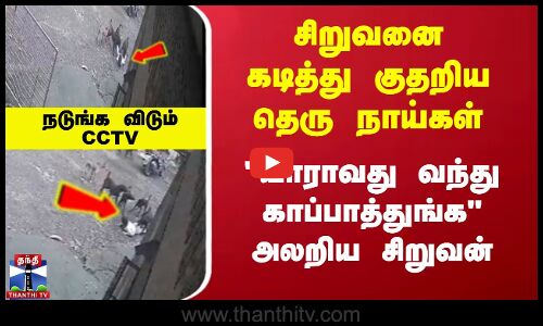 Dog Bite | சிறுவனை கடித்து குதறிய தெரு நாய்கள்...யாராவது வந்து காப்பாத்துங்க அலறிய சிறுவன்