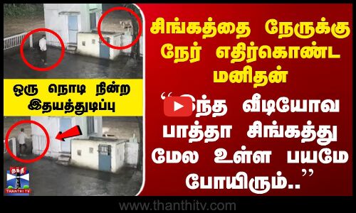 ``இந்த வீடியோவ பாத்தா சிங்கத்து மேல உள்ள பயமே போயிரும்..’’