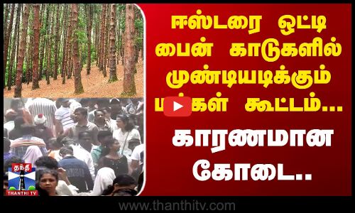 ஈஸ்டரை ஒட்டி பைன் காடுகளில் முண்டியடிக்கும் மக்கள் கூட்டம்...