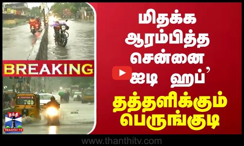 மிதக்க ஆரம்பித்த சென்னை `ஐடி ஹப்’ ஏரியா - தத்தளிக்கும் பெருங்குடி