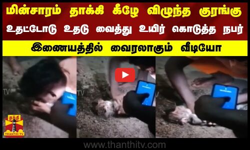 மின்சாரம் தாக்கி கீழே விழுந்த குரங்கு..உதட்டோடு உதடு வைத்து உயிர் கொடுத்த நபர்.. வைரலாகும் வீடியோ
