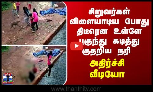 kerala சிறுவர்கள் விளையாடிய போது திடீரென உள்ளே புகுந்து கடித்து குதறிய நரி - அதிர்ச்சி வீடியோ