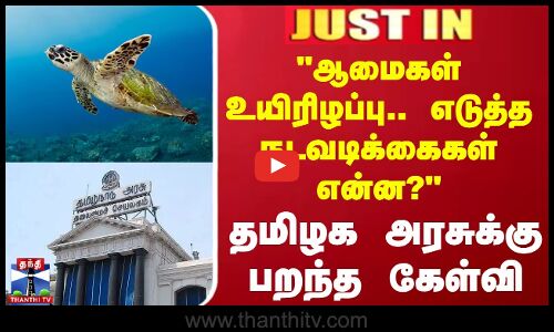 #JUSTIN || ஆமைகள் உயிரிழப்பு.. எடுத்த நடவடிக்கைகள் என்ன? - தமிழக அரசுக்கு பறந்த கேள்வி