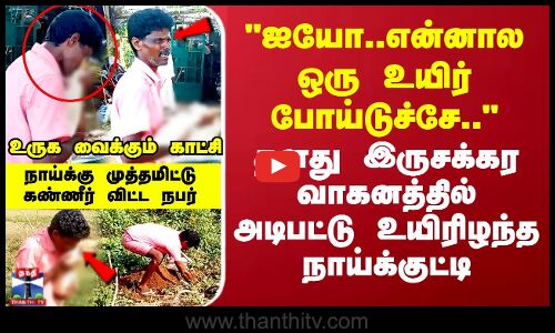 தனது இருசக்கர வாகனத்தில் அடிபட்டு உயிரிழந்த நாய்க்குட்டி..முத்தமிட்டு கண்ணீர் விட்டு கதறிய நபர்