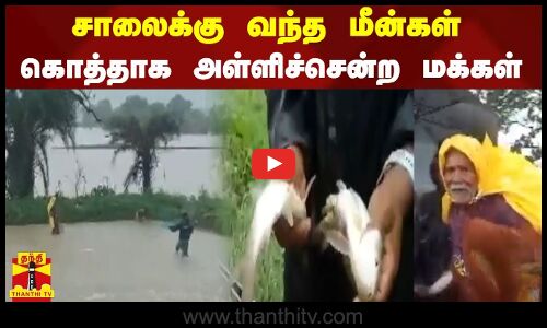 சாலைக்கு வந்த மீன்கள்....கொத்தாக அள்ளிச்சென்ற மக்கள்
