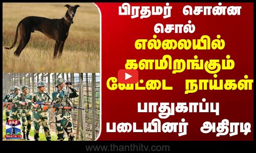 PM Modi | Dogs | Country Dog | இந்திய எல்லையை பாதுகாக்கும் பணியில் 150 நாட்டு நாய்கள்