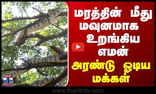 python | Kerala | மரத்தின் மீது உறங்கிய எமன்...அரண்டு ஓடிய மக்கள்