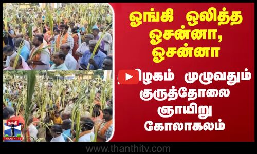 ஓங்கி ஒலித்த ஓசன்னா, ஓசன்னா - தமிழகம் முழுவதும் குருத்தோலை ஞாயிறு கோலாகலம்