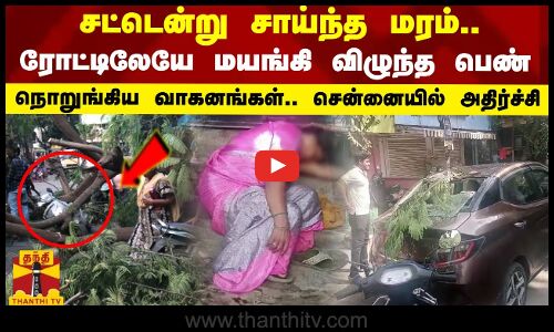 சட்டென்று சாய்ந்த மரம்.. ரோட்டிலேயே மயங்கி விழுந்த பெண்.. நொறுங்கிய வாகனங்கள்.. சென்னையில் அதிர்ச்சி