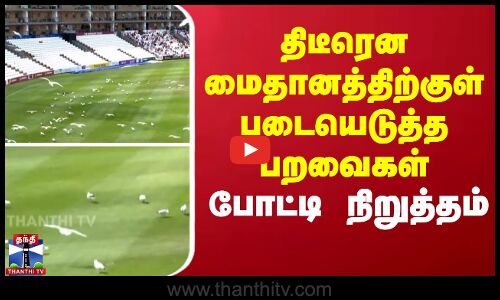 திடீரென மைதானத்திற்குள் படையெடுத்த பறவைகள் - போட்டி நிறுத்தம்