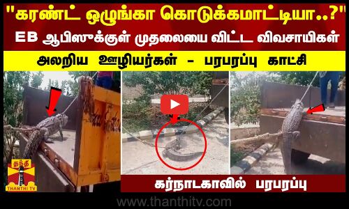 கரண்ட் ஒழுங்கா கொடுக்கமாட்டியா ..? EB ஆபிஸுக்குள் முதலையை விட்ட விவசாயிகள் - அலறிய ஊழியர்கள்