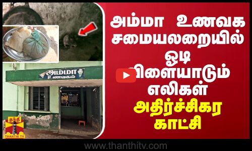 அம்மா உணவகம் சமையலறையில் ஓடி விளையாடும் எலிகள் - அதிர்ச்சிகர காட்சி