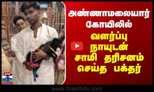 அண்ணாமலையார் கோயிலில் வளர்ப்பு நாயுடன் சாமி தரிசனம் செய்த பக்தர்