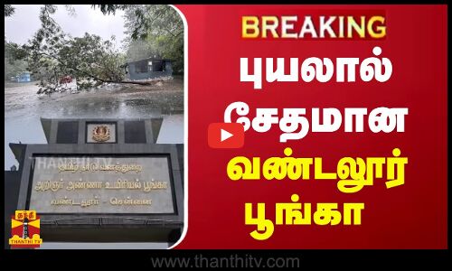 புயலால் சேதமான வண்டலூர் பூங்கா | Chennai | Vandalur Zoo
