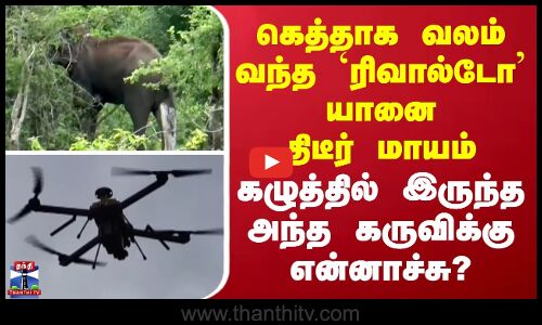 Nilgiris | கெத்தாக வலம் வந்த ரிவால்டோ யானை திடீர் மாயம் - கழுத்தில் இருந்த அந்த கருவிக்கு என்னாச்சு?