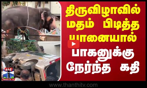திருவிழாவில் மதம் பிடித்த யானையால்  பாகனுக்கு நேர்ந்த கதி