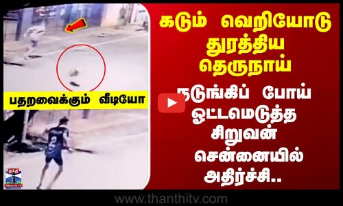 Chennai Stray Dog Viral Video கடும் வெறியோடு துரத்திய தெருநாய் - நடுங்கிப் போய் ஓட்டமெடுத்த சிறுவன்