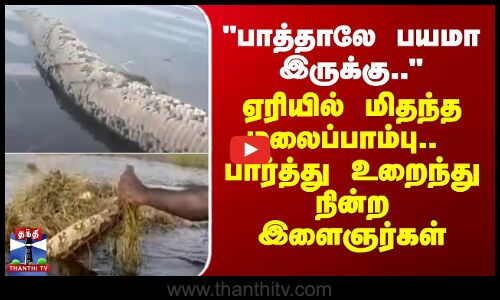 Python | Arakkonam | பாத்தாலே பயமா இருக்கு.. ஏரியில் மிதந்த மலைப்பாம்பு.. உறைந்து நின்ற இளைஞர்கள்