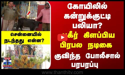 கோயிலில் கன்றுக்குட்டி பலியா? பகீர் கிளப்பிய நடிகை -சென்னையில் நடந்தது என்ன?