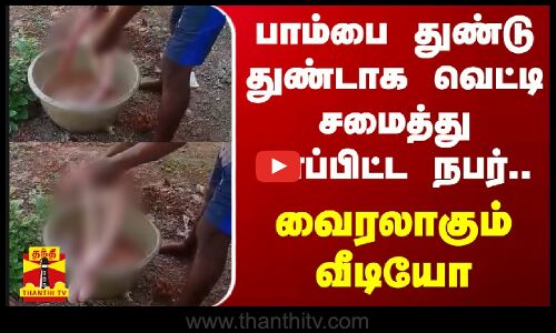 பாம்பை துண்டு துண்டாக வெட்டி சமைத்து சாப்பிட்ட நபர்.. வைரலாகும் வீடியோ