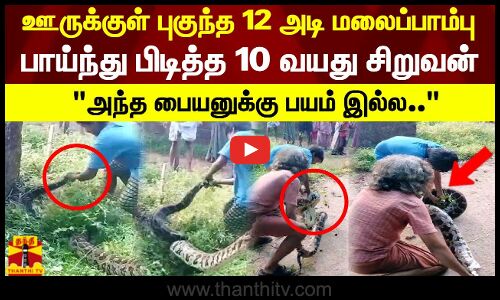 அந்த பையனுக்கு பயம் இல்ல..  12 அடி மலைப்பாம்பை பாய்ந்து பிடித்த 10 வயது சிறுவன்!