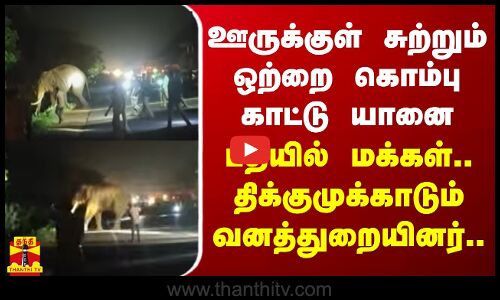 ஊருக்குள் சுற்றும் ஒற்றை கொம்பு காட்டு யானை... பீதியில் மக்கள் - திக்குமுக்காடும் வனத்துறையினர்