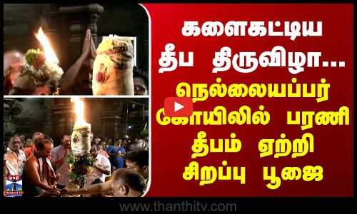 Nellaiappar Temple | களைகட்டிய தீப திருவிழா... நெல்லையப்பர் கோயிலில் பரணி தீபம் ஏற்றி சிறப்பு பூஜை